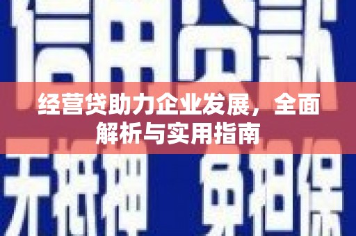 顺城经营贷助力企业发展，全面解析与实用指南