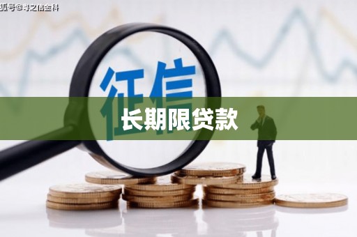 亚东长期限贷款