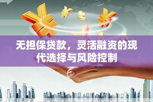 枞阳无担保贷款，灵活融资的现代选择与风险控制