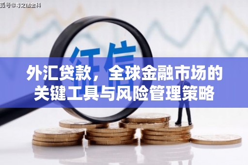 永嘉外汇贷款，全球金融市场的关键工具与风险管理策略