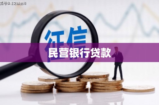 沈丘民营银行贷款