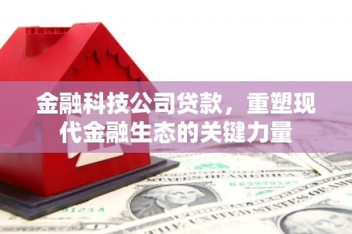 新田金融科技公司贷款，重塑现代金融生态的关键力量