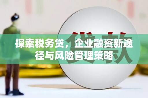 瑞金探索税务贷，企业融资新途径与风险管理策略