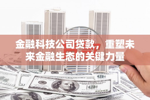 乐陵金融科技公司贷款，重塑未来金融生态的关键力量