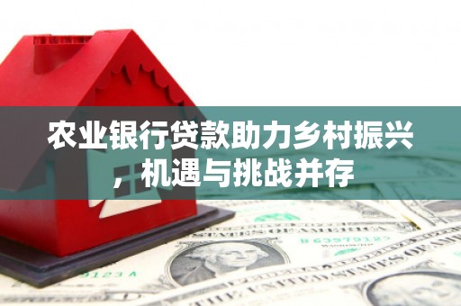 苍溪农业银行贷款助力乡村振兴，机遇与挑战并存