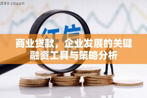 成安商业贷款，企业发展的关键融资工具与策略分析