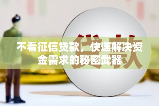 港南不看征信贷款，快速解决资金需求的秘密武器