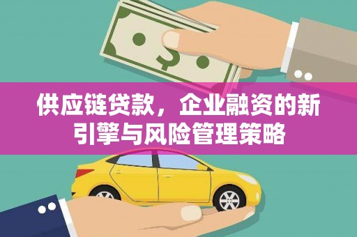 宝坻供应链贷款，企业融资的新引擎与风险管理策略