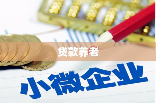 宾阳贷款养老