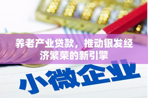 龙崎养老产业贷款，推动银发经济繁荣的新引擎