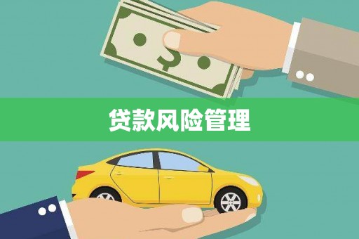 城西贷款风险管理