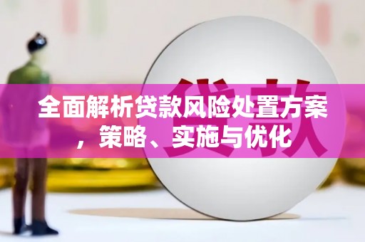 蓬溪全面解析贷款风险处置方案，策略、实施与优化