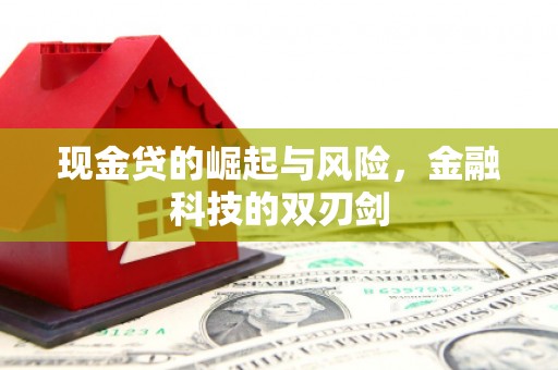 镇巴现金贷的崛起与风险，金融科技的双刃剑