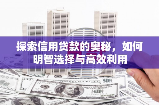西畴探索信用贷款的奥秘，如何明智选择与高效利用