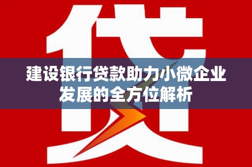 河池建设银行贷款助力小微企业发展的全方位解析