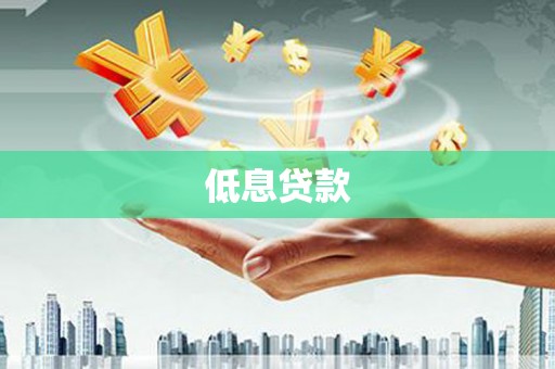 龙川低息贷款