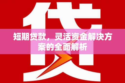 德兴短期贷款，灵活资金解决方案的全面解析