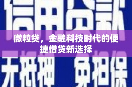 望都微粒贷，金融科技时代的便捷借贷新选择