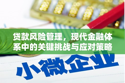 拉萨贷款风险管理，现代金融体系中的关键挑战与应对策略