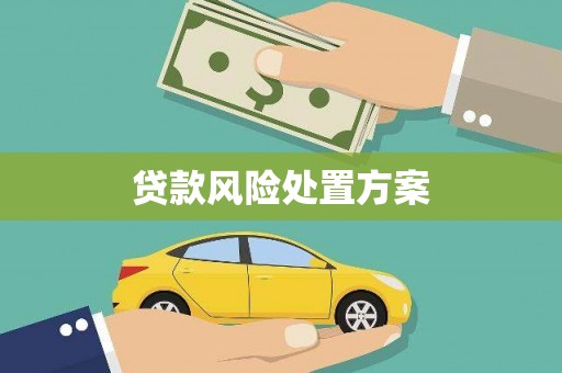 永清贷款风险处置方案