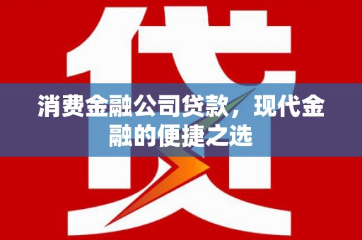 麻豆消费金融公司贷款，现代金融的便捷之选