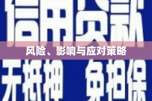 花都风险、影响与应对策略