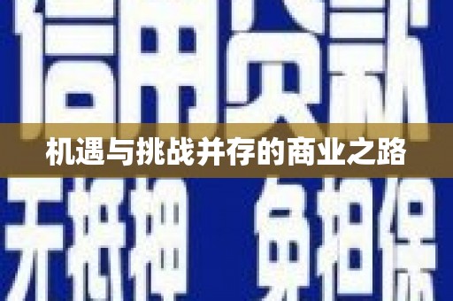 兴庆机遇与挑战并存的商业之路