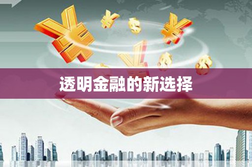 澜沧透明金融的新选择