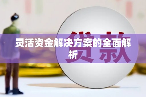 全州灵活资金解决方案的全面解析